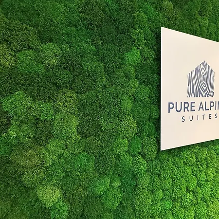 Pure Alpine * Schladming